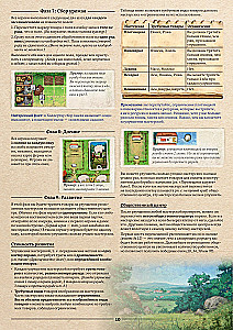 The Board Game - Hallertau